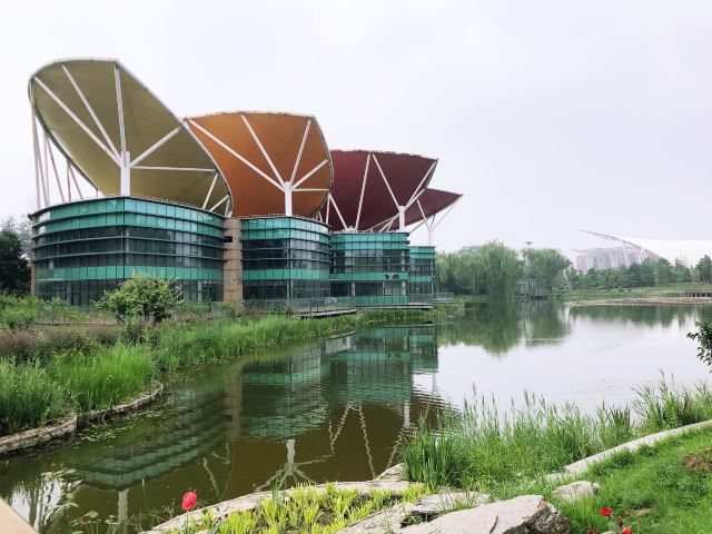花博会主题公园旅行图片 1