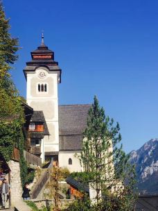 哈尔施塔特湖-哈尔施塔特-青青翠竹