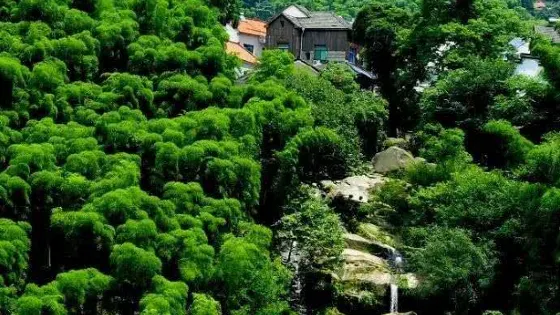 茅塘古村落