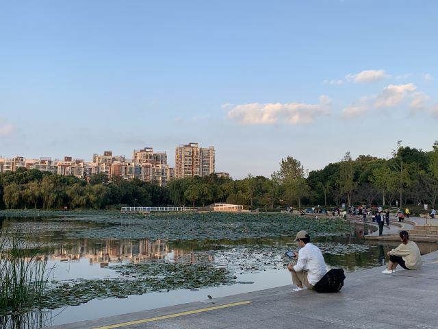 新江湾城公园旅行图片 4
