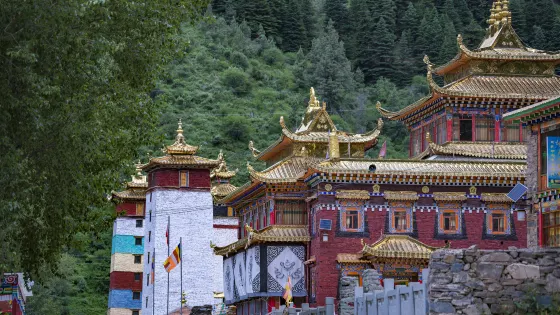 曾克寺