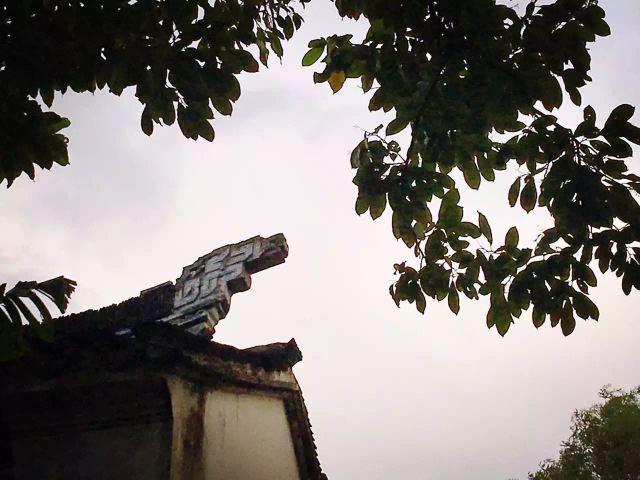 大悲禅院旅行图片 1