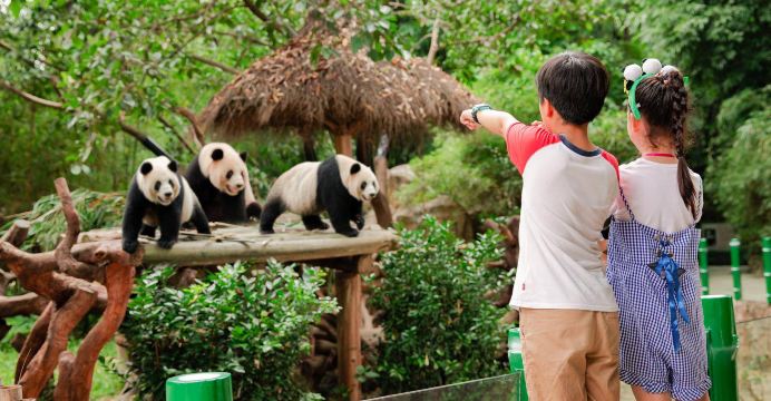 长隆野生动物世界景点图片 15