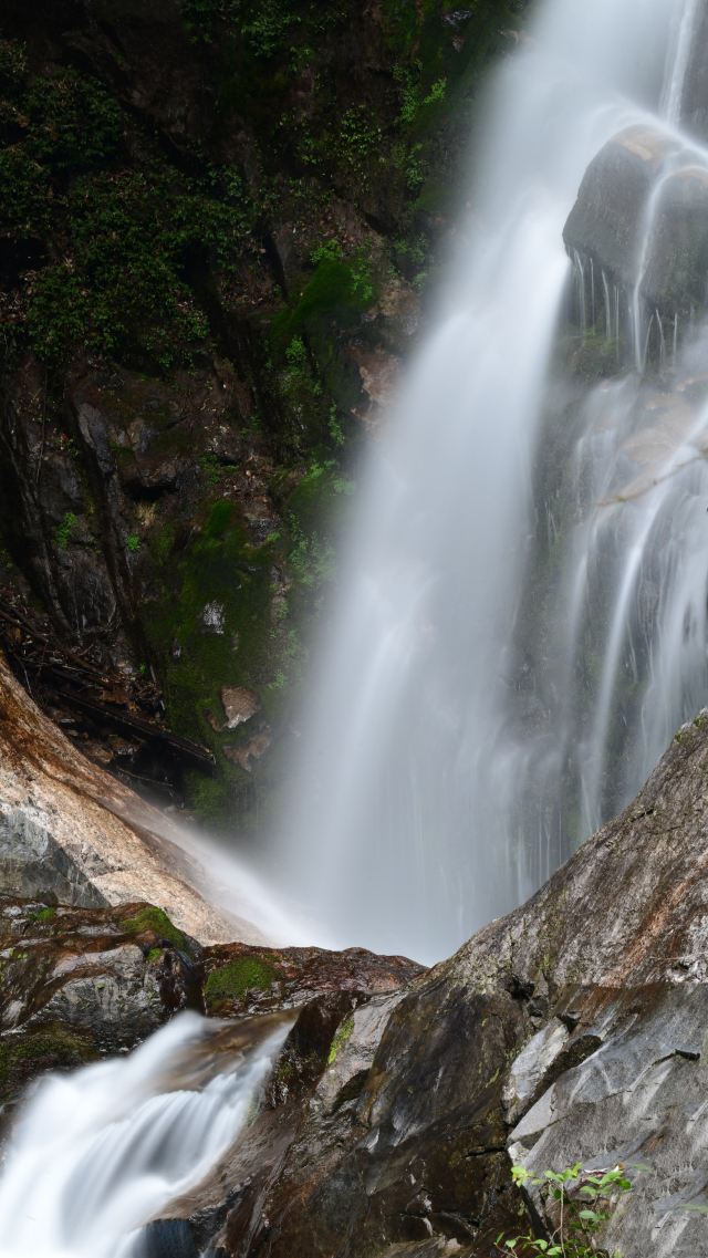 天岳幕阜山森林公园旅行图片 2