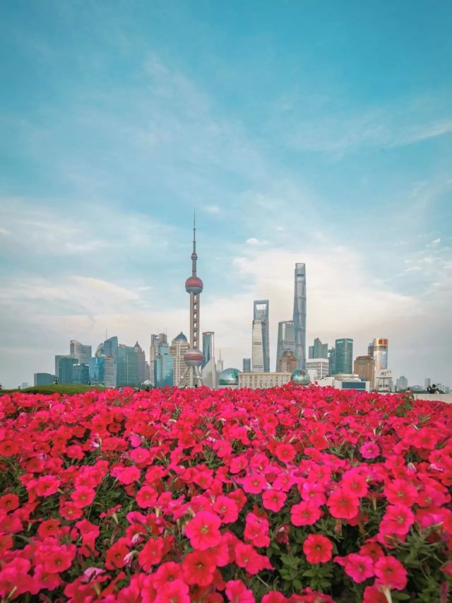 黄浦公园旅行图片 2