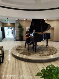 七宝镇游记图片] 诺宝中心酒店游玩