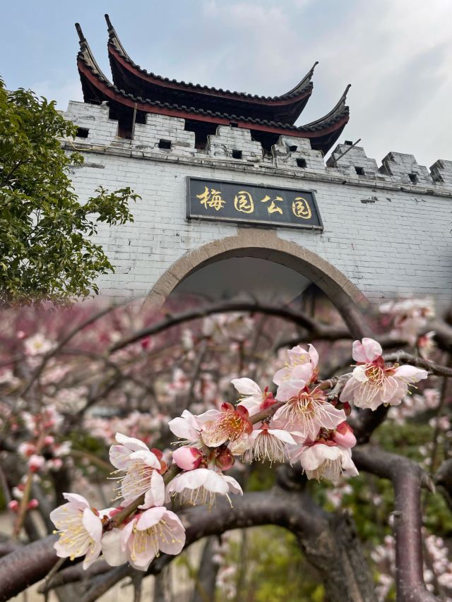 梅园公园旅行图片 1