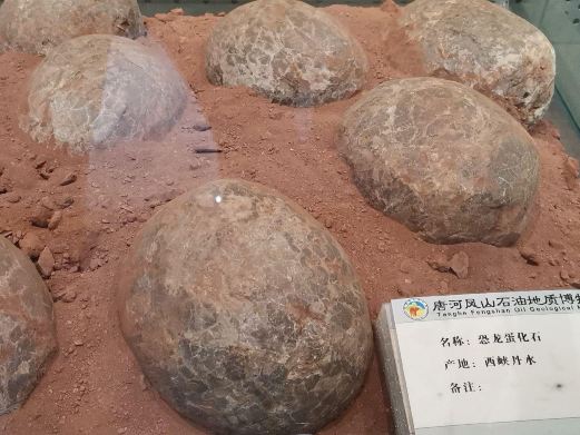 唐河凤山石油地质博物馆