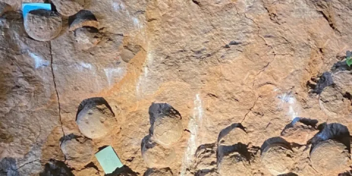 鄖陽地質博物館