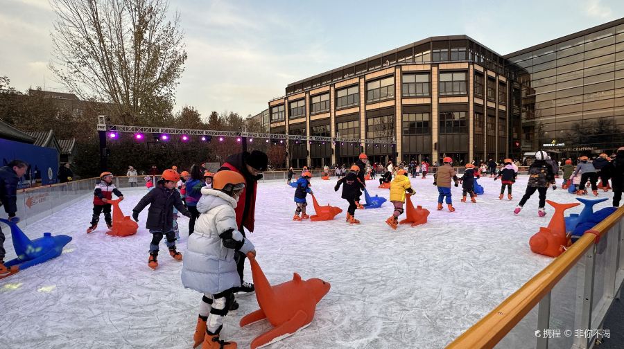 乐滑之梦冰乐园（王府中環店）