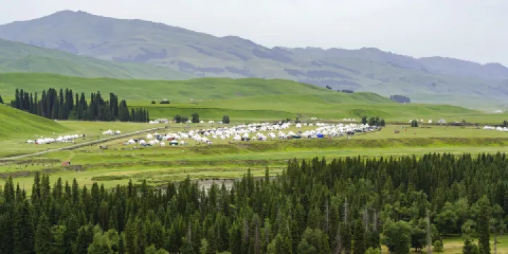 唐布拉百里畫廊松果野奢露營地