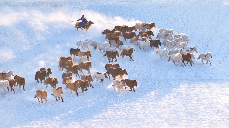 3-day 2-night · Private Tour · China + Inner Mongolia + Beijing + Saihanba National Forest Park + Wulanbutong Steppe Tourist Area