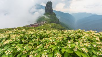 Fanjing Mountain