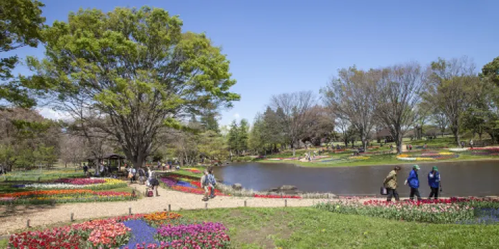 國營昭和紀念公園