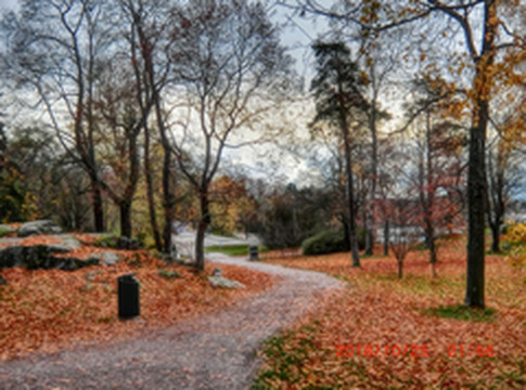芬兰游记图片] 触目惊秋芬兰行