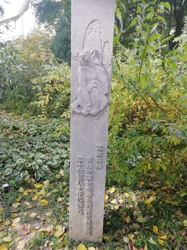 南馆公园旅行图片 5