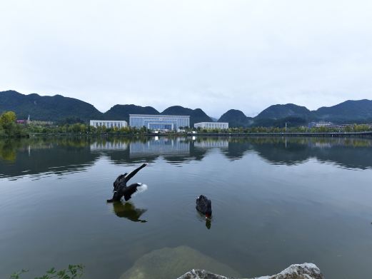天鹅湖人民公园