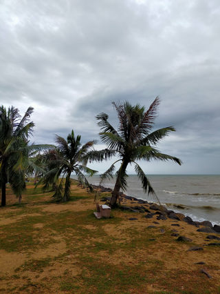 独自游湛江及徐闻南极村