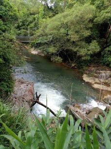 岭南小九寨-台山-池塘春草