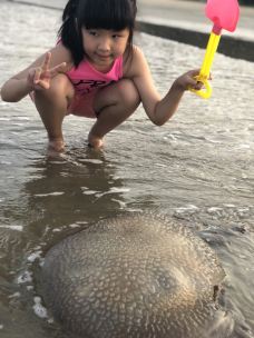 华欣海滩-华欣-钱龙