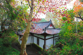 寻味浦江美食：百县千碗，浦江十碗（附美食攻略）