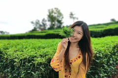 安溪游记图片] 别再扎堆网红店了！小众高格调的温泉行馆了解一下？