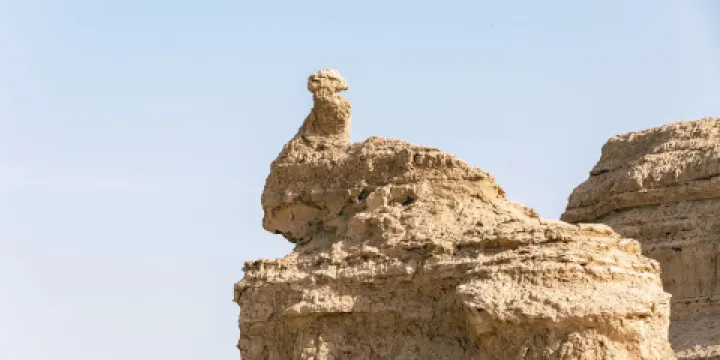 孔雀玉立(柱狀雅丹)