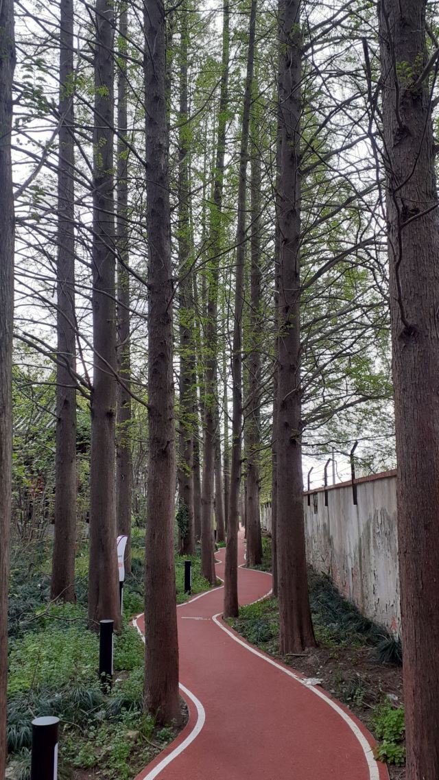 江浦公园旅行图片 1