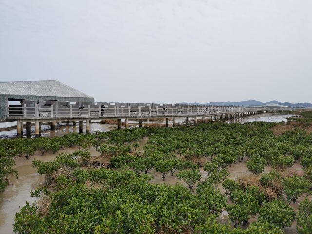 闽江河口国家湿地公园旅行图片 4