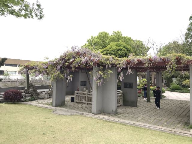 古藤园旅行图片 5