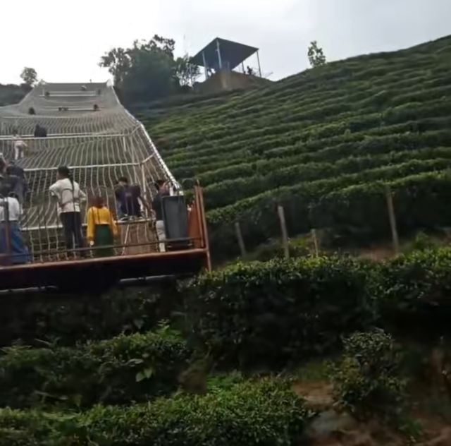 长沙黑麋峰森林公园旅行图片 4
