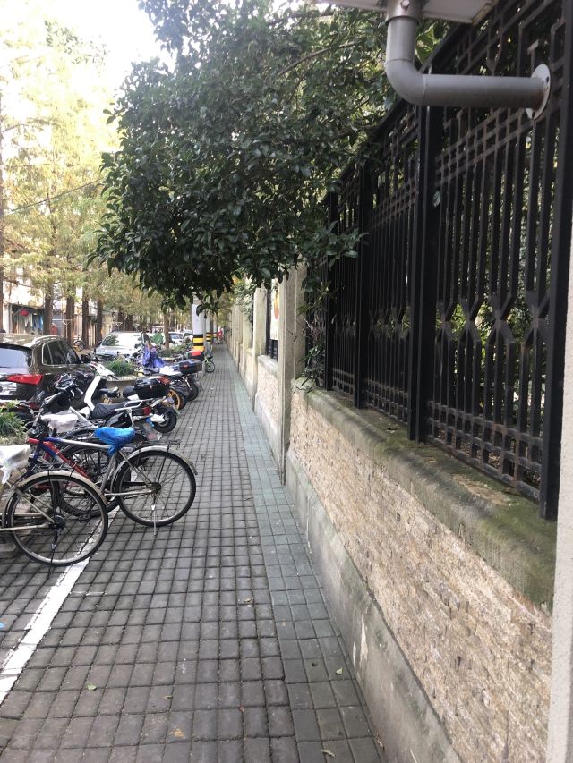 甜爱路旅行图片 2