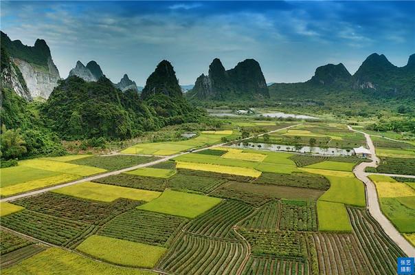 广东阳江有座古村落,秋日遍地金黄,吸引着来自全国各地的摄影师