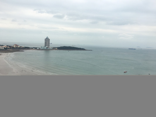 2021秋冬的青岛依旧碧海蓝天,海水凉凉,海鸥满天~~~