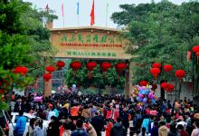 茂名森林公园景点图片