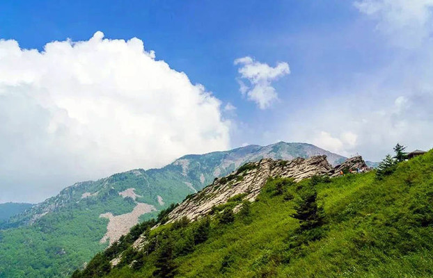 赏高山杜鹃、看云海、享星空露营，朱雀森林公园给你不一样的精彩