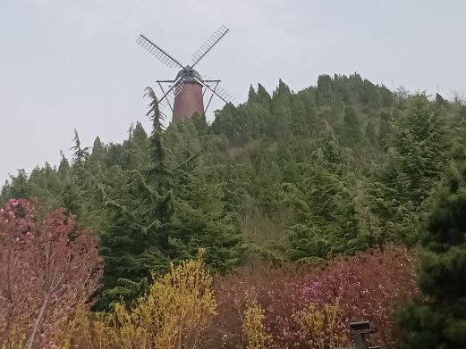 东坡头森林公园