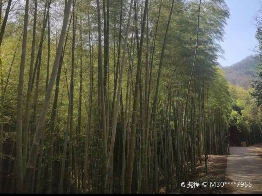 虎爪山国家森林公园