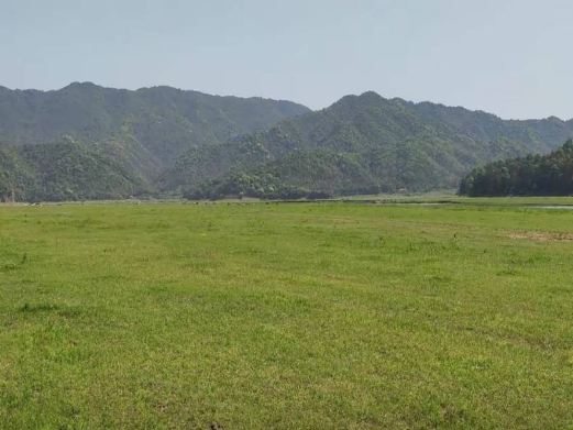 白鹭湖国家森林公园
