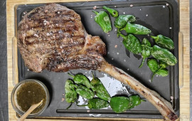 Xato gastrotaberna