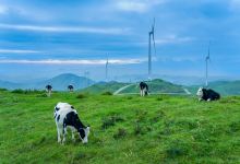 南山牧场景点图片