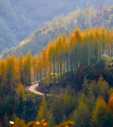 镇坪游记图文-陕菜探秘之旅第113站走进长寿文化之乡赏金秋美景享长寿宴