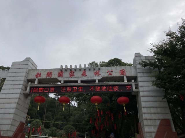 韶关国家森林公园旅行图片 2