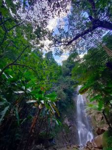 樱花谷-腾冲-pekingwang