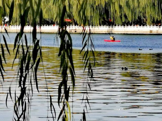 西海旅行图片 2