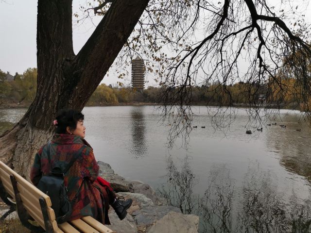 未名湖旅行图片 1