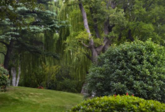 Fort George公园景点图片