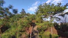 天屿山观景台-淳安-freewangyong