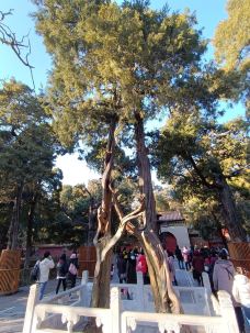 御花园-北京-勇猛十温柔