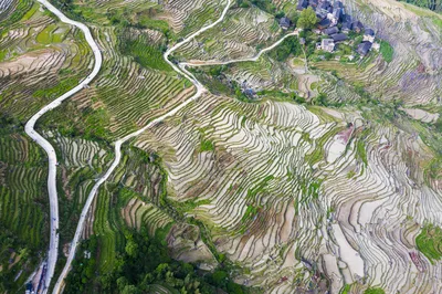龙脊古壮寨梯田观景区